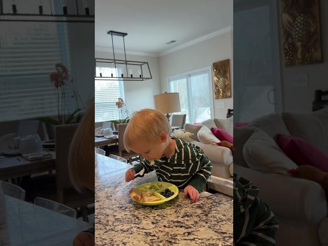 Toddler Lunch #youtubeshorts #momlife #sahm #toddlerdiet #toddlerfood #toddlermeals #shorts