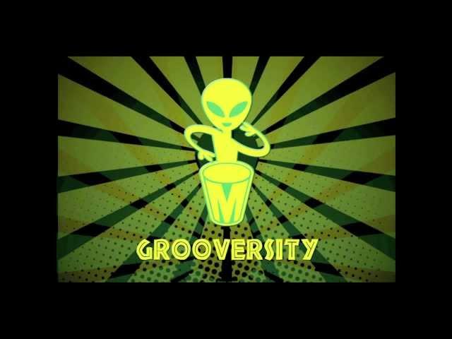 Grooversity Mission TEDx