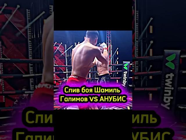 Слив боя Шамиль Галимов vs АНУБИС!!! #shorts #popmma