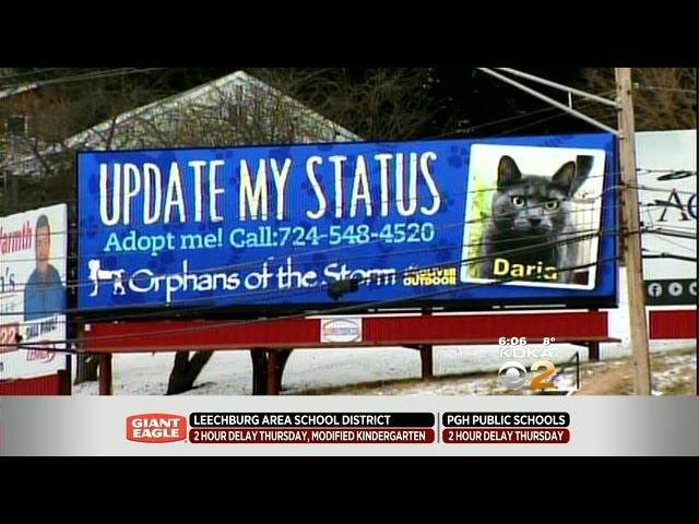 West Kittanning Homeowners Clash With Billboard Company