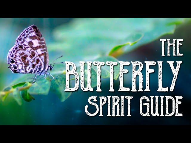 Butterfly Spirit Guide - Ask the Spirit Guides Oracle Totem Animal - Power Animal - Magical Crafting