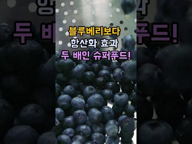 블루베리보다 항산화 효과 두 배인 슈퍼푸드! #비타민C  #슈퍼푸드 #두뇌건강