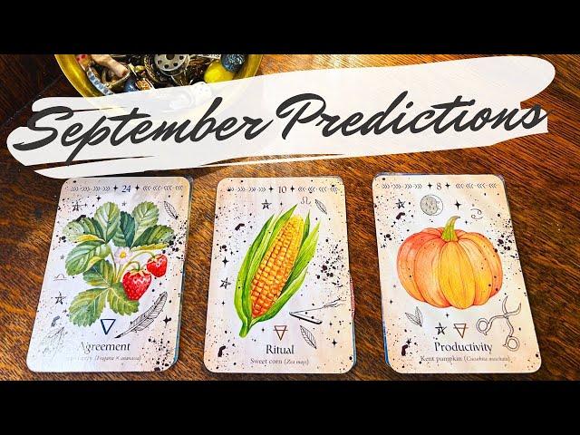  Your SEPTEMBER Predictions  pick a card