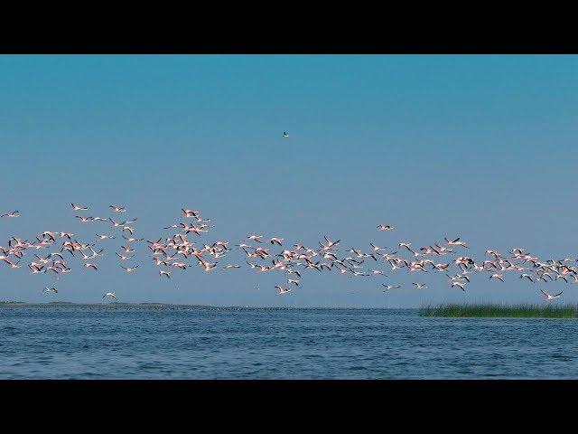 CHILIKA Wildlife Sanctuary