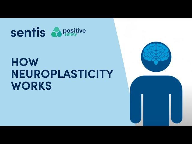 Neuroplasticity