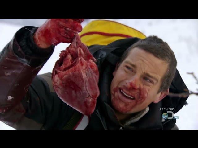 Bear Grylls Eats | Man Vs Wild Season 4| Eating Compilation Part 1