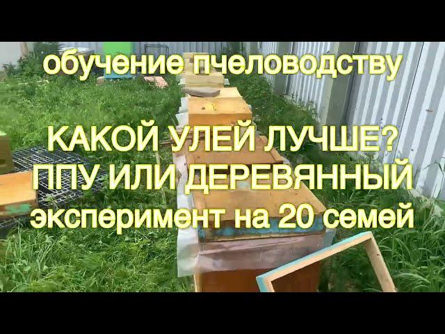 Какой улей лучше? ППУ или деревянный?