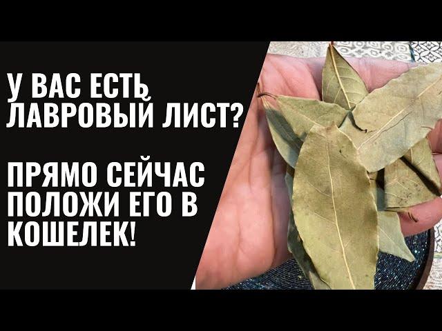 У вас есть Лавровый Лист?! Положите лавровый лист в Кошелёк!