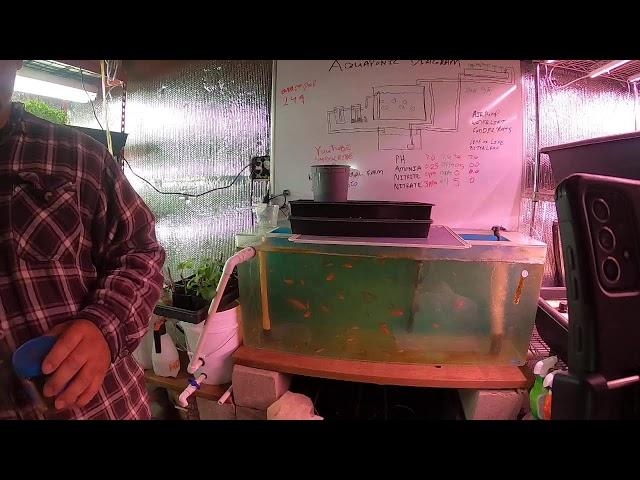 Tiny Urban Farm Chores 2/9/2023