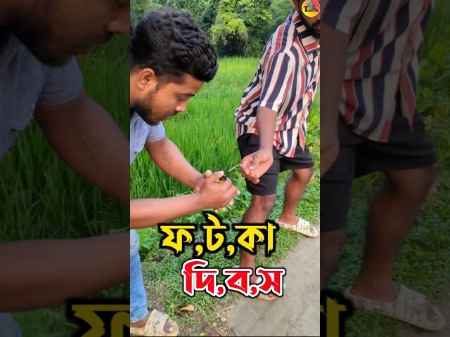 প,ট,কা, ফু,টা,নো,র পর উঠে দৌ,ড় দিল কেন? #comedyvideos #comedy #funny