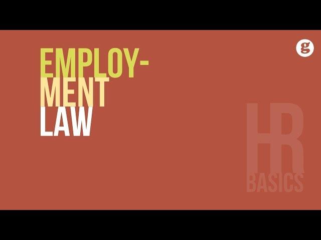 HR Basics: Employment Law 2e