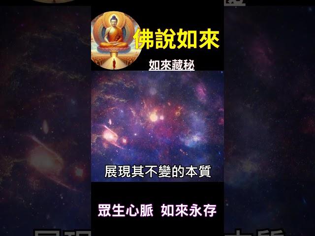 佛說如來 如來藏秘：眾生心脈 如來永存 #開悟 #悟道