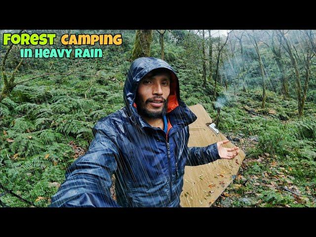 Winter Group Camping in Heavy Rain in Deep Forest | Winter Rain Camping | Camping Video