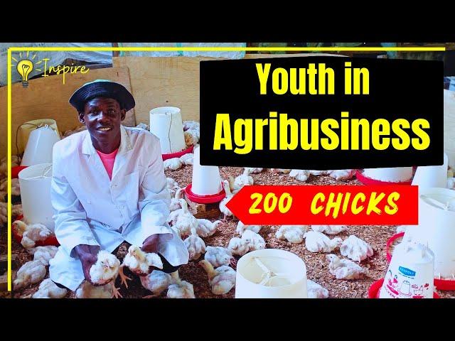 Inspiring Journey of a Young Poultry Farmer in Kenya