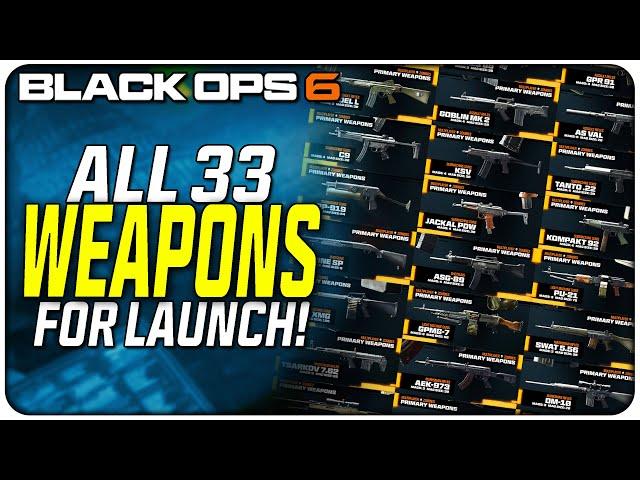 All Launch Weapons Revealed for Black Ops 6! (+The Detailed Gun Stat Screen is AMAZING!)