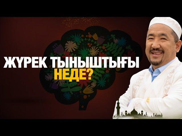 Жүрек тыныштығы неде ? | Нұрлан имам | Жүрек сөзі