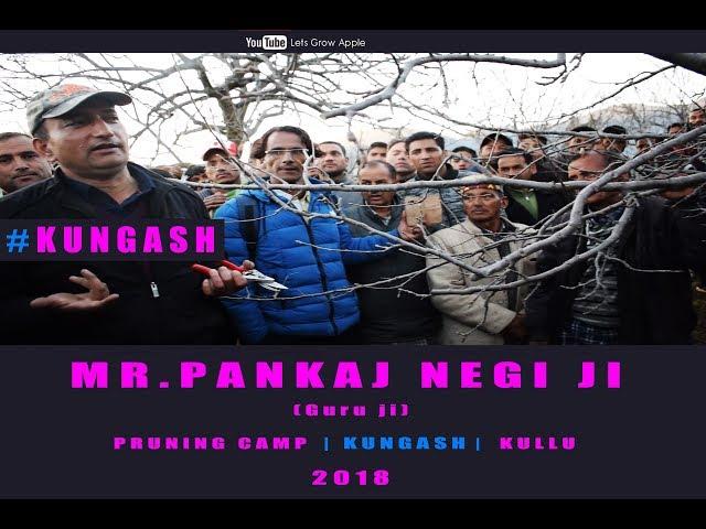 2018 | Mr. Pankaj Negi ji | Pruning Camp | KUNGASH | KULLU |  Lets Grow Apple