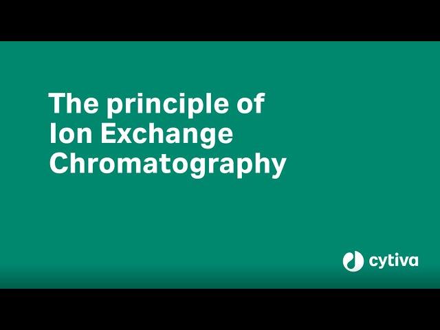 Principles of ion exchange chromatography explained