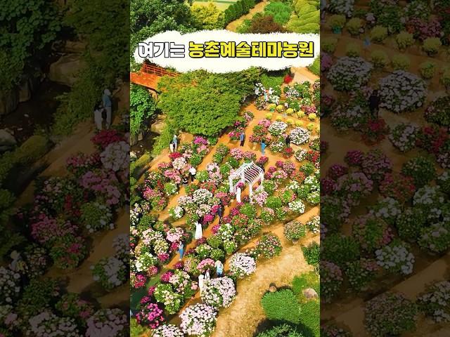 6월 수국 축제 율봄식물원 수국정원 
