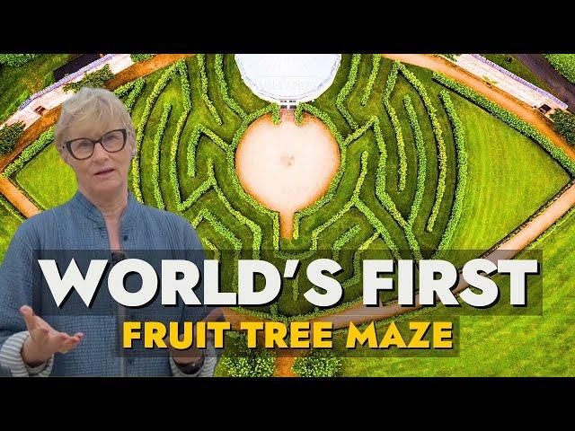 The STUNNING Gardens Home To The World's Only Fruit Tree Maze!