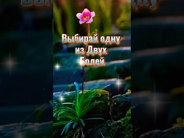 #мудрость #цитаты #мотивация #жизнь #цитатыосмысле #любовь #youtube #youtubeshorts #ytshorts