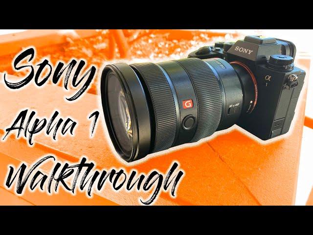 Sony Alpha 1 Walkthrough