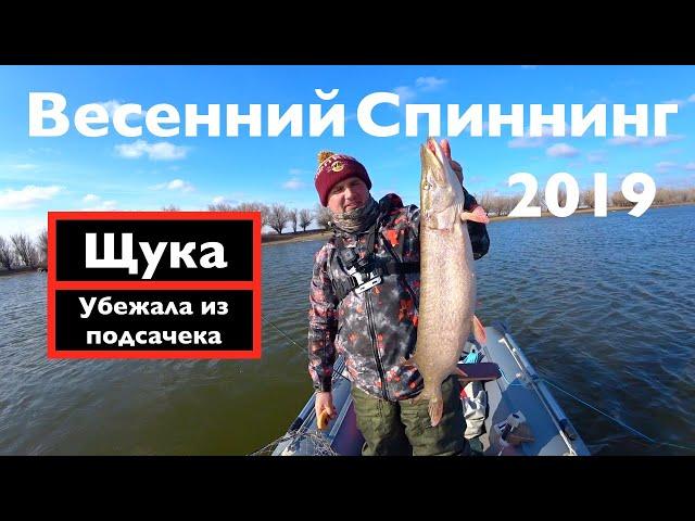 ВЕСЕННИЙ СПИННИНГ 2019 !!ОГРОМНАЯ ЩУКА СБЕЖАЛА ИЗ ПОДСАЧЕКА!!! ЖЁСТКИЙ ОБЛОМ НА РЫБАЛКЕ..!!