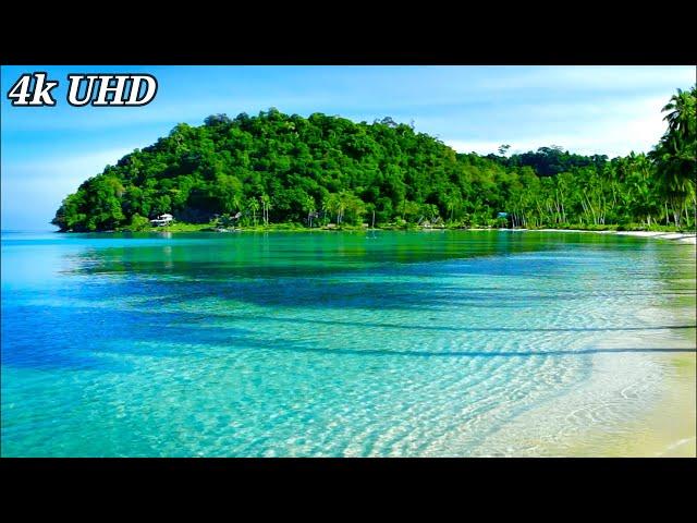 4k UHD Paradise Beach, Nature Sounds. Tropical Beach Waves, Ocean Sounds. White Noise for Sleeping.