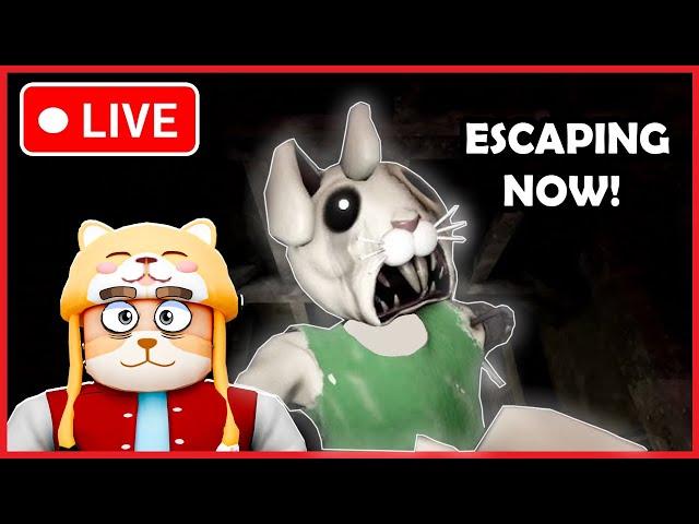 Roblox Piggy Decay (Chapter Escape)