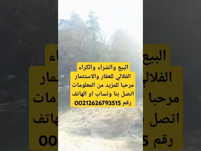 شريك في النجاح خدمات متكاملة بيع وشراء وكراء. الاستثمار تقييم العقارات، استشارات  وإدارة العقارات.