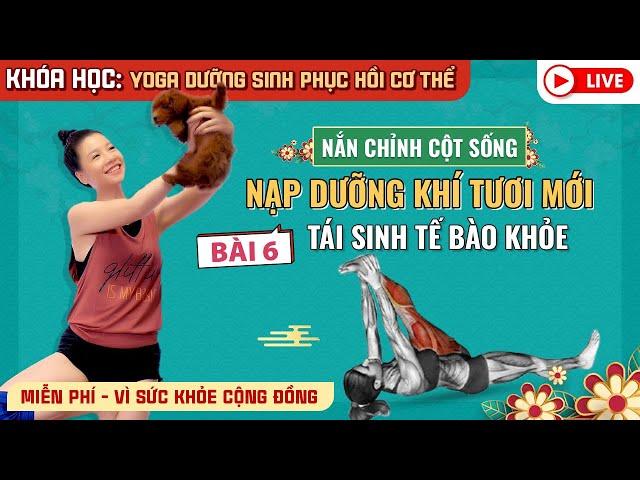 Bài 6: Yoga dưỡng sinh phục hồi cơ thể /Nắn chỉnh cột sống / Tái sinh tế bào khỏe _ Nguyễn Hiếu Yoga