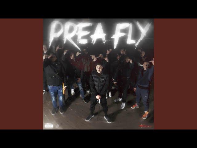 Prea Fly (feat. Ra)
