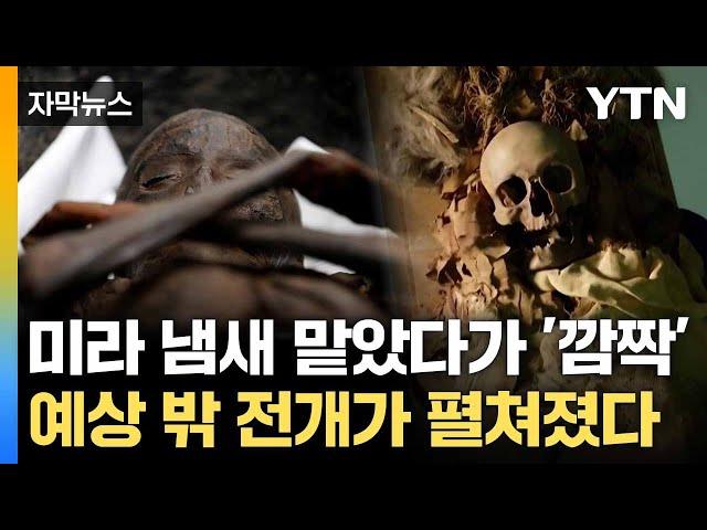 [자막뉴스] 고대 이집트 미라 '킁킁'... 연구진의 놀라운 아이디어 / YTN