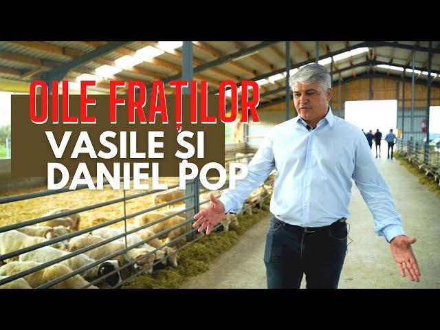 Țurcana de Maramureș. Pasiunea fraților Vasile și Daniel Pop