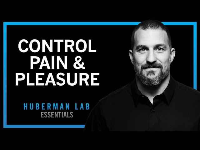 How to Control Your Sense of Pain & Pleasure | Huberman Lab Essentials