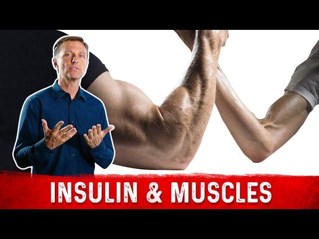 Does Low Carb and Low Insulin Cause Low Muscle Mass?