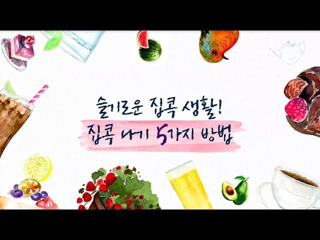#슬기로운집콕생활 콜랩 크리에이터가 알려주는 집콕 나기 5가지 팁!