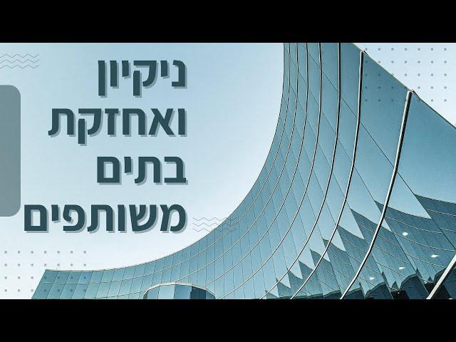 חברת אחזקת מבנים שיין קלין