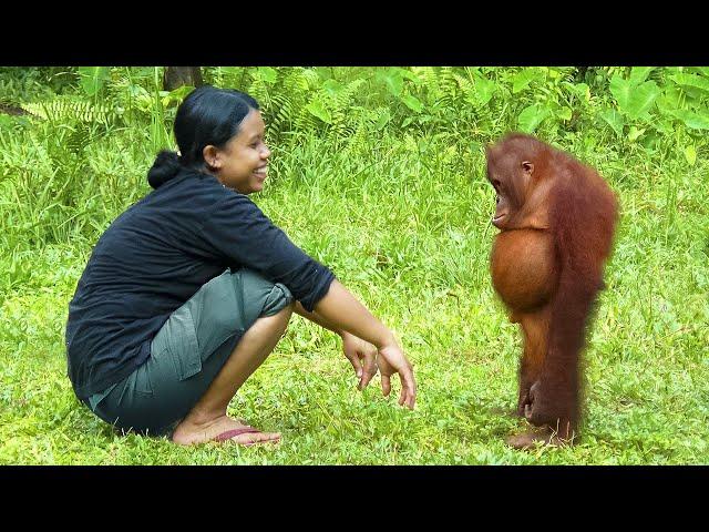 30 Minutes of Funniest Animals Caught on Camera