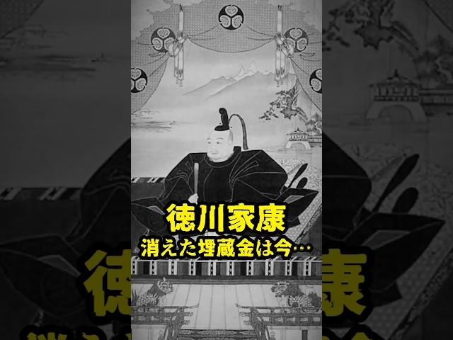 【幻の徳川埋蔵金】#徳川埋蔵金 #都市伝説 #日本史の闇 #謎解き #埋蔵金探し#不思議な話 #闇が深い #奇妙な出来事 #隠された真実 #衝撃の真実