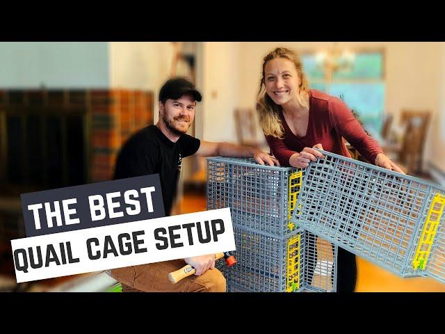 The BEST Quail Cage | Build and Review of Hatching Time Quail Cage