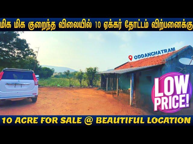 10 ஏக்கர் நிலம் விற்பனைக்கு |10 ACRE FOR SALE#beautifullocation #landforsale #oddanchatram