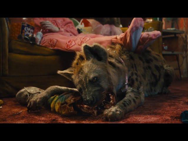 Birds of Prey - All Hyena Scenes