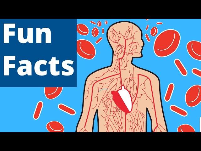 10 Human Body Facts