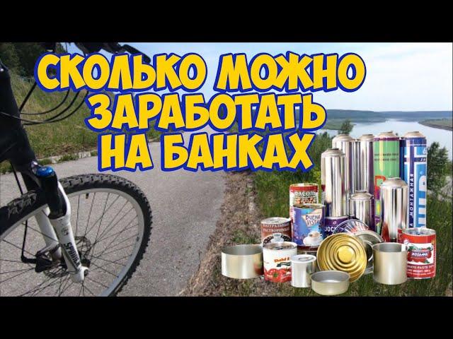 Сколько можно заработать собирая алюминиевые банки?