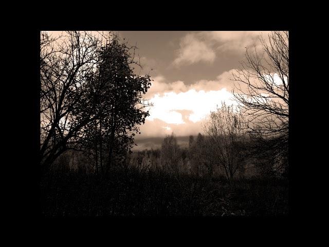 Dark Forest. Best photo of Dark. Karpatia mountains. Ukraine.