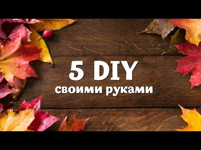  5 DIY  ОСЕННИЕ ПОДЕЛКИ СВОИМИ РУКАМИ