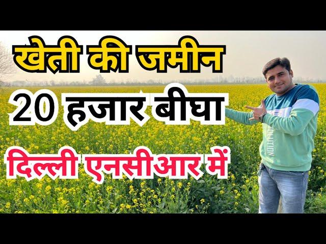 खेती की जमीन मात्र 20 हज़ार रु बीघा। #agriculturelandforsale #delhincr @MHPropertyVlogs