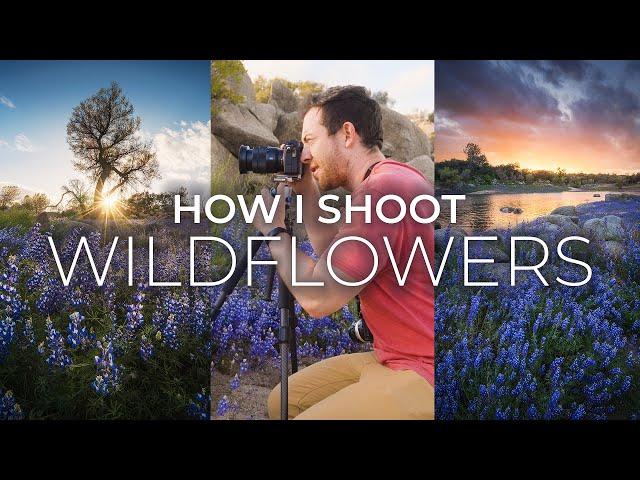 My Favorite Tips For Wildflower Photography & Mistakes To Avoid