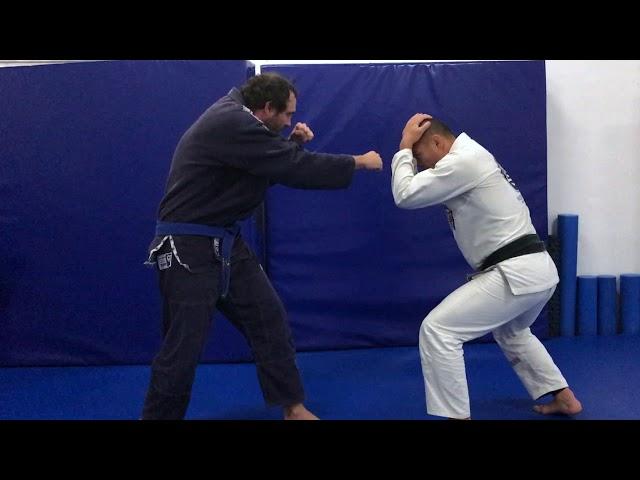 Punch Defence From Standing
